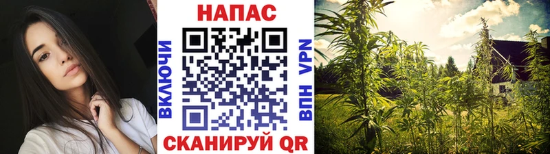 Какие есть наркотики Новоалександровск Alpha-PVP Марихуана Меф Гашиш COCAIN