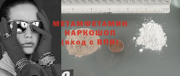 индика Алексин