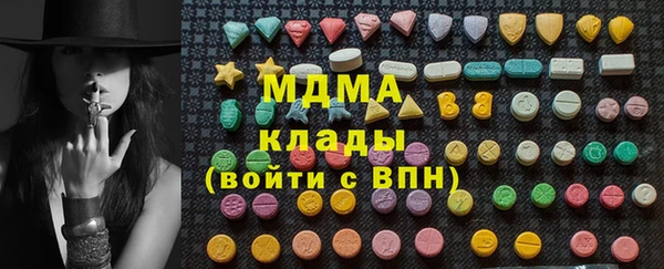 индика Алексин